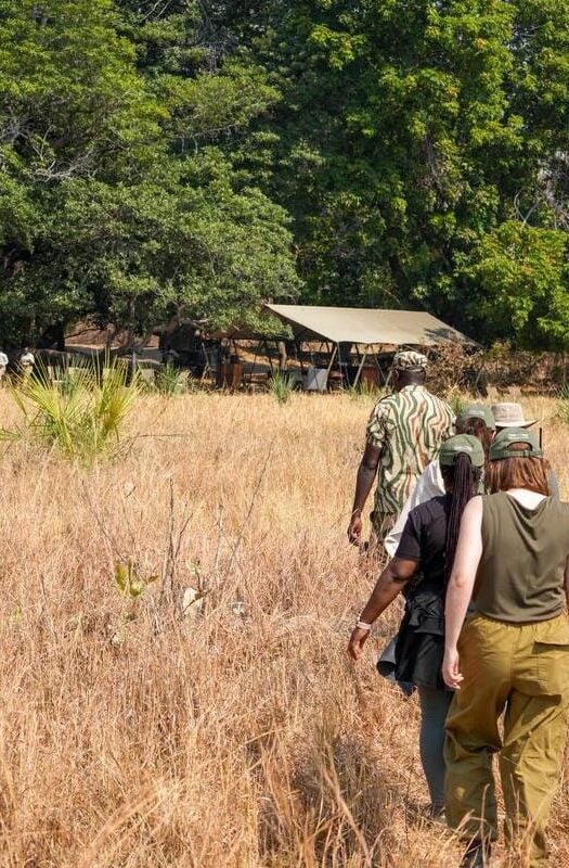 People on a walking safari in Zambia