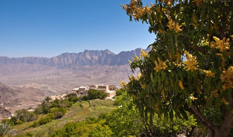 A village near jebel Akhdar in Oman