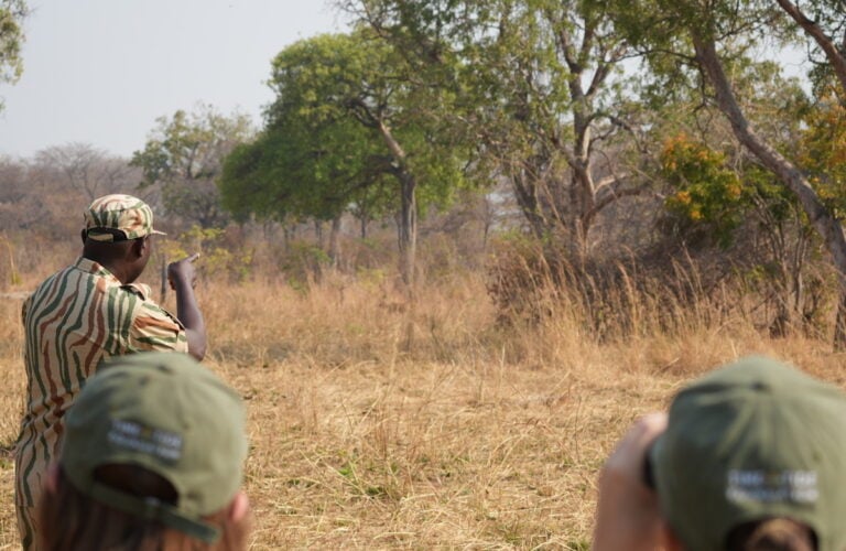 People on a walking safari in Zambia