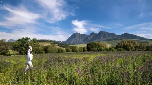 Family enjoys the Winelands, South Africa