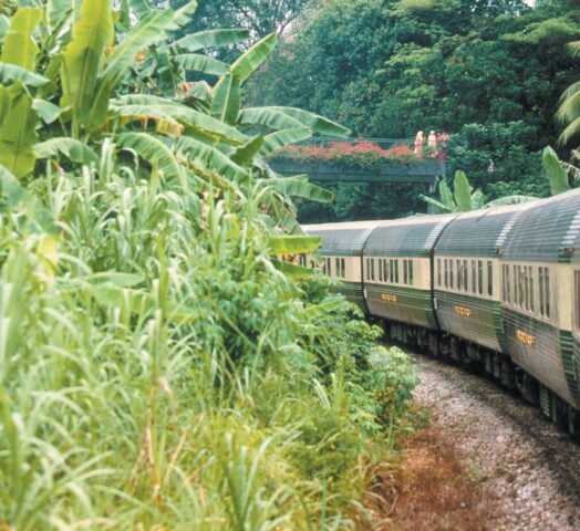 The Belmond Eastern & Oriental Express train travelling through the jungle