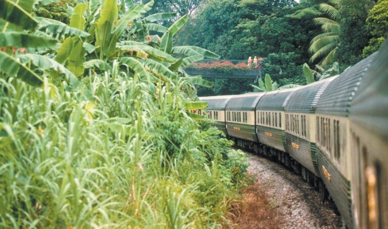 The Belmond Eastern & Oriental Express train travelling through the jungle