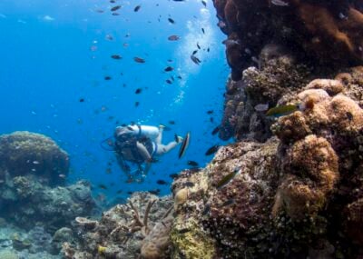 Scuba diving among the coral at Bawah Reserve