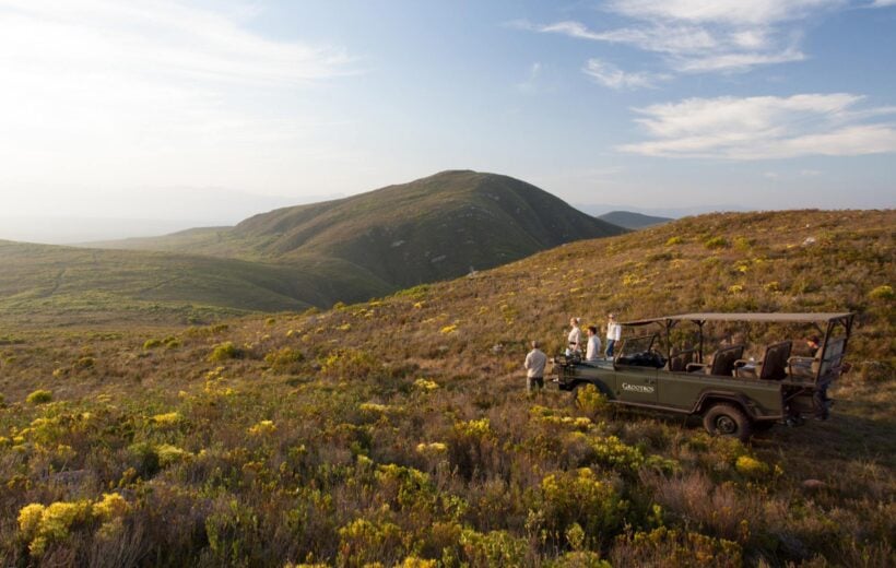 A jeep in a field of flowers in Grootbos nature reserve