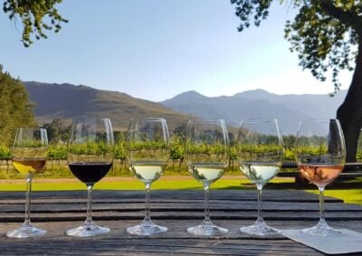 Glasses of wine lined up for a wine tasting in the Winelands, South Africa