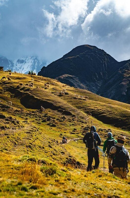 Adventure seekers hiking in the mountains with their trekking polls