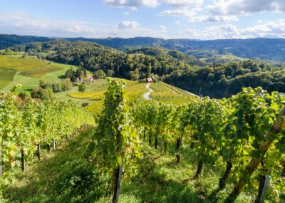 Famous Heart shaped wine road in Slovenia in autumn, Heart form - Herzerl Strasse, vineyards in autumn, Spicnik