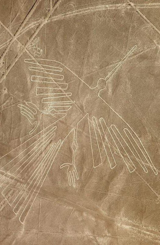 Condor geoglyph at the Nazca lines