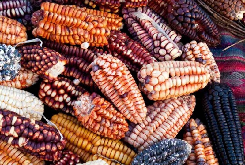 Different varieties of cron in Peru