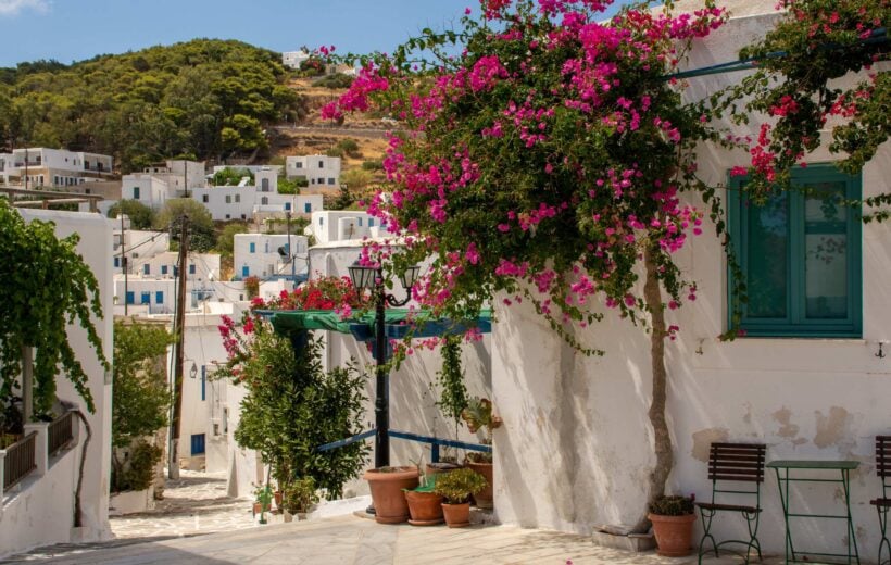 White houses with pink flowers in Lefkes, Greece