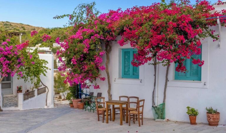 Picturesque alley in Lefkes, Paros with whitewashed houses and bougainvillea