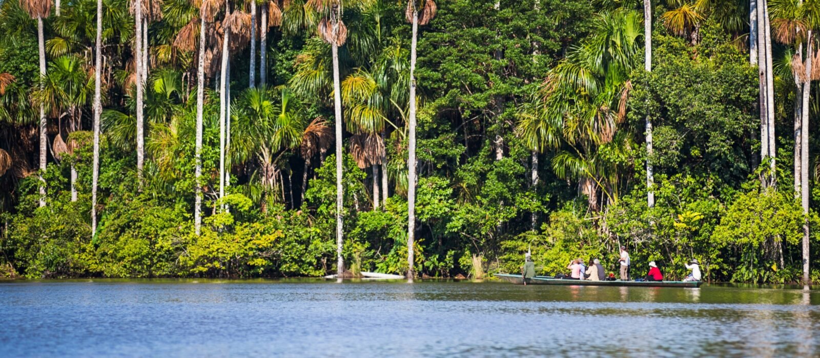 People in boats on a river with tall palm trees and lush greenery in the background.